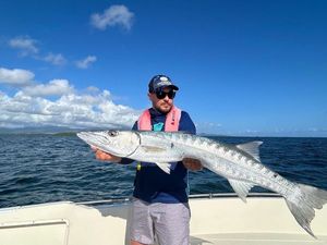 Great Barracuda