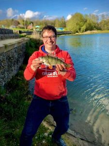 European Perch