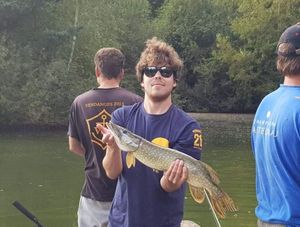 Chain Pickerel