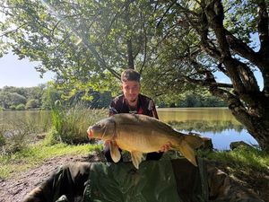 Mirror Carp