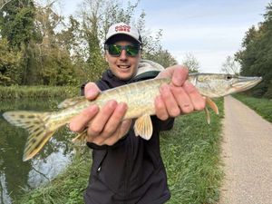 Northern Pike