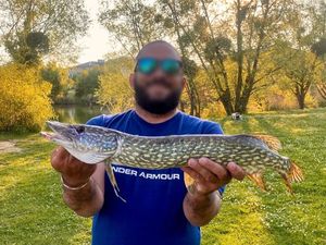 Northern Pike