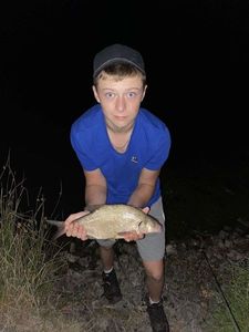 White bream