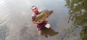 Common Carp