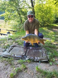 Mirror Carp