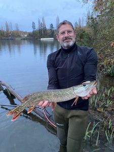 Northern Pike