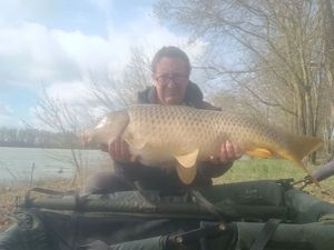 Common Carp