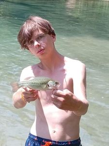 Largemouth Bass