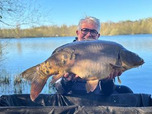 Mirror Carp