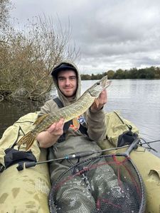 Northern Pike