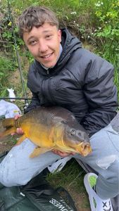 Leather Carp