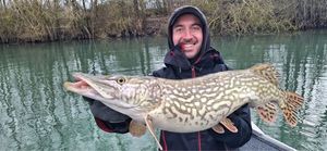 Northern Pike