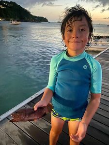 Ballan Wrasse