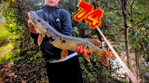 Northern Pike