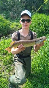 Northern Pike