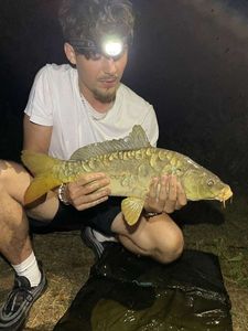 Leather Carp