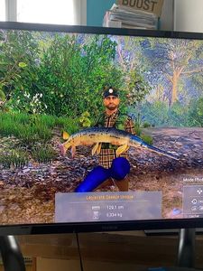 Longnose Gar