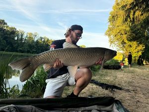 Silver Carp