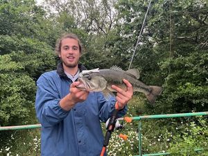 Largemouth Bass