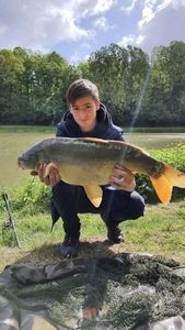 Mirror Carp