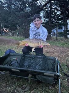Leather Carp