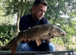 Common Carp