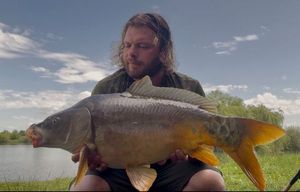 Common Carp