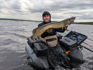 Northern Pike