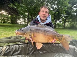Mirror Carp