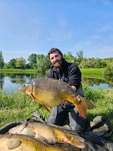 Mirror Carp