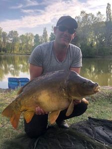 Mirror Carp