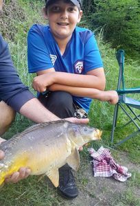 Mirror Carp