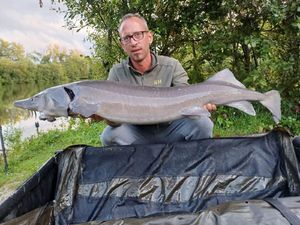 Sturgeon