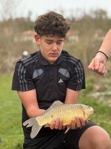 Crucian Carp