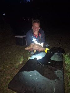 Common Carp