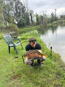 Mirror Carp