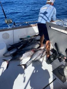 Bluefin Tuna