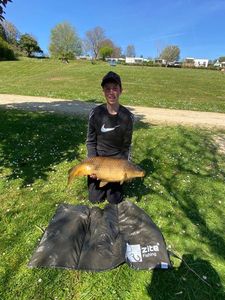 Common Carp