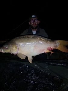 Mirror Carp