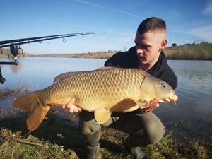 Common Carp