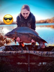 Mirror Carp