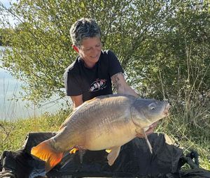 Mirror Carp