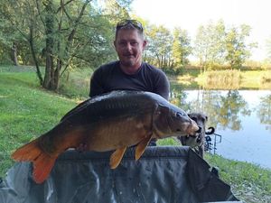 Mirror Carp