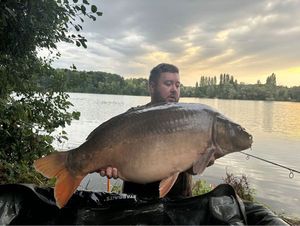 Mirror Carp