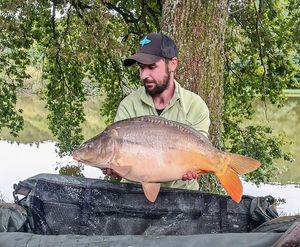 Mirror Carp