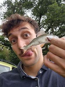 European Perch