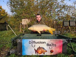 Mirror Carp