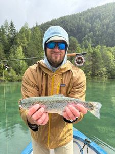 Rainbow Trout