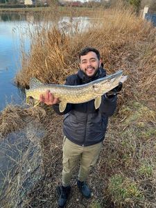 Northern Pike