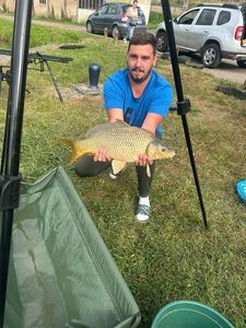 Common Carp